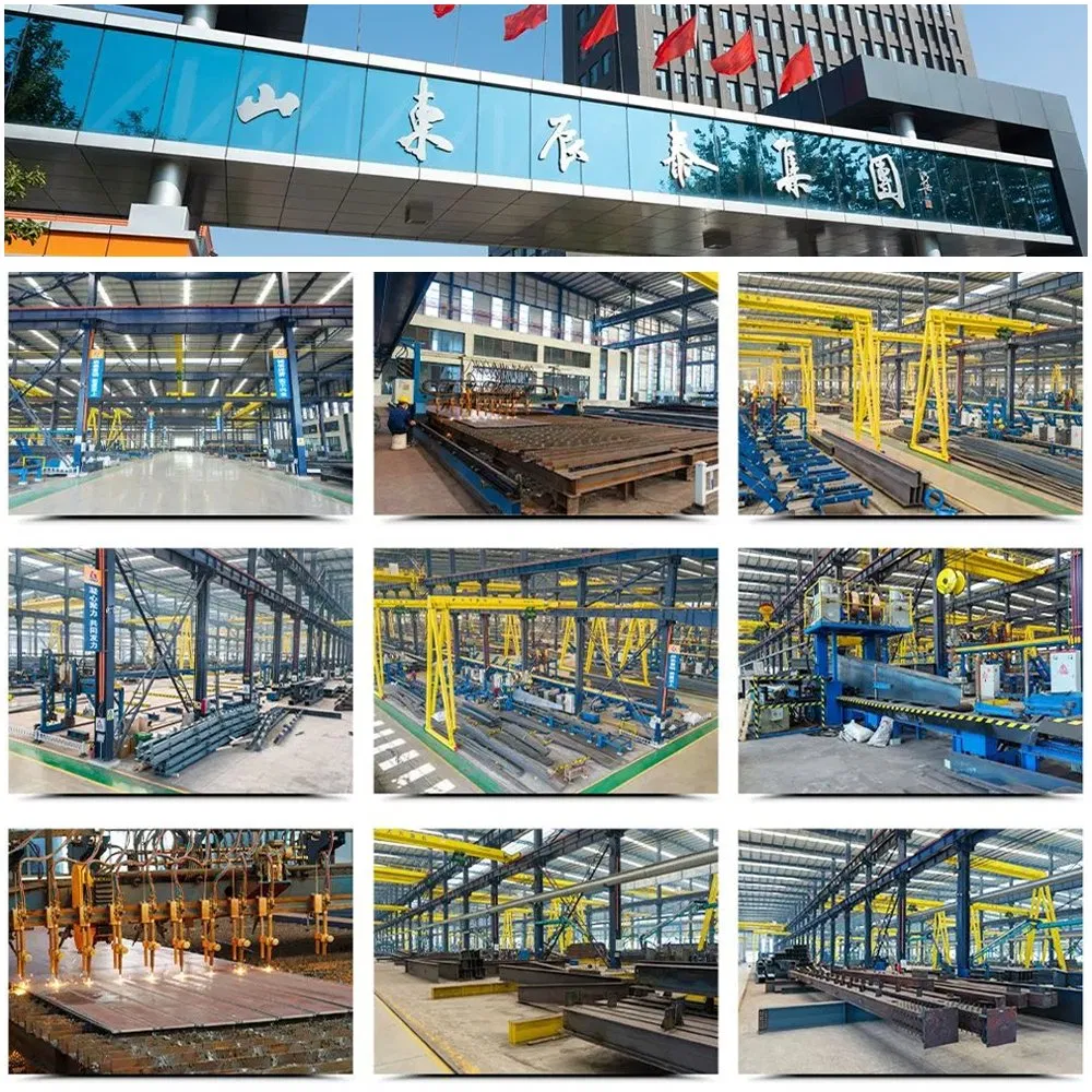 CT Heavy Industry Modern Design Prefabricated Steel Structure Workshop Storage Steel Frame Metal Building