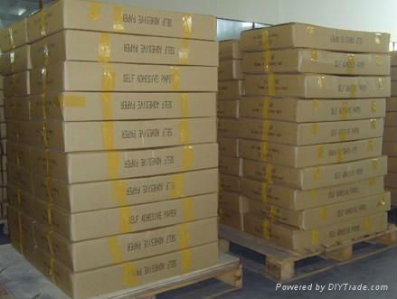 Self Adhesive Paper Be Sales to Bangladesh Market by 20*30inch