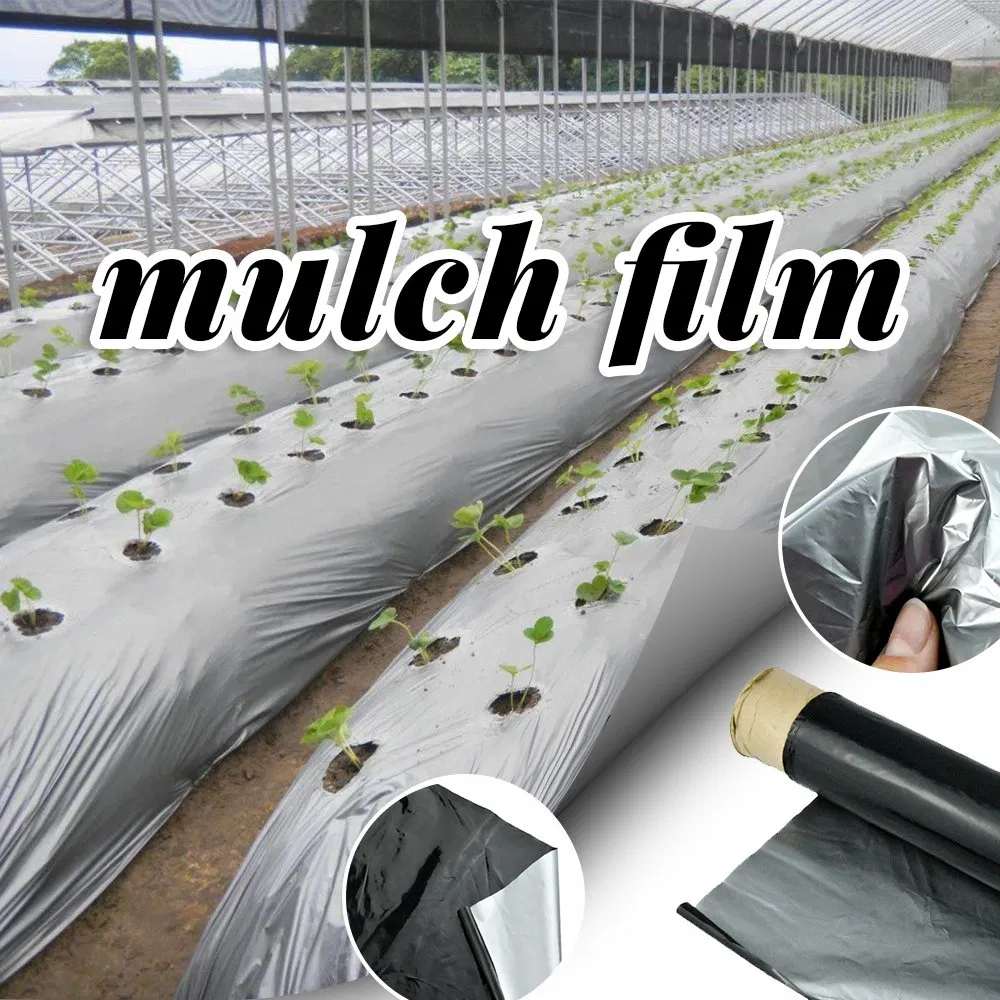 Factory 0.4m-5m UV Mulch Film on Greenhouse