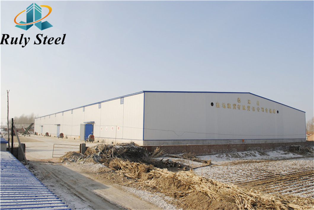 High Strength Anti-Seismic Water/Fire Proof Skylight Board/Overhead Crane Construction Design Gable Frame Prefabricated Light Steel Structure Workshop