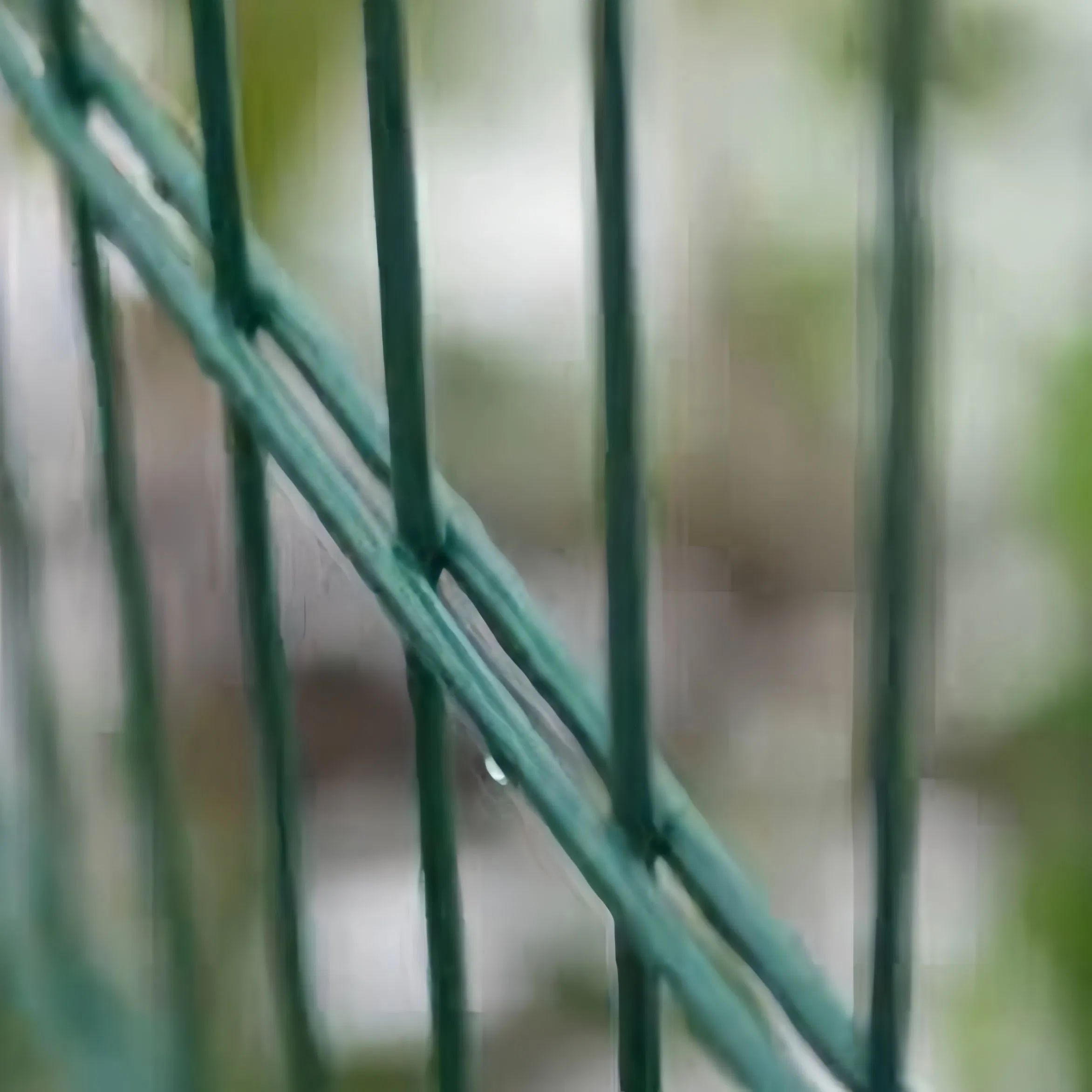 PVC Coated Garden Courtyard Safety Barrier Residential Community Perimeter Protection Safety Fence Double Wire Fence