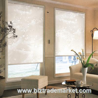 Hot Selling Shangri-La Blind with Different Type Fabric