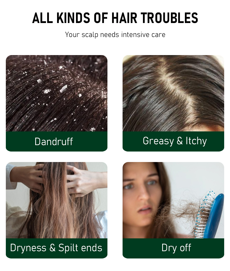 Customize Logo Tea Tree Shampoo Conditioner Set for Thinning Hair