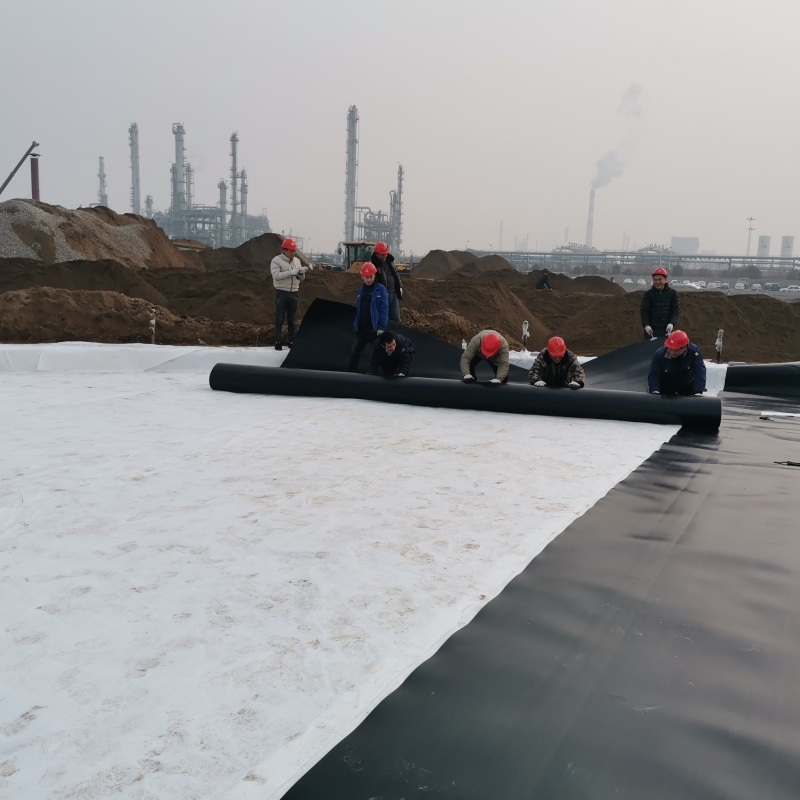 All-Season Geomembrane Fish Pond Liner for Year-Round Fish Care Fish Hatchery Ponds, Lake Bottom Lining and Water Containment