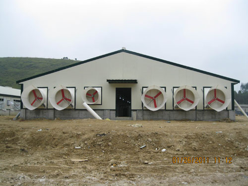 Modern Automatic Steel Structure Chicken House Poultry Farm Building with Equipment for Mall Application