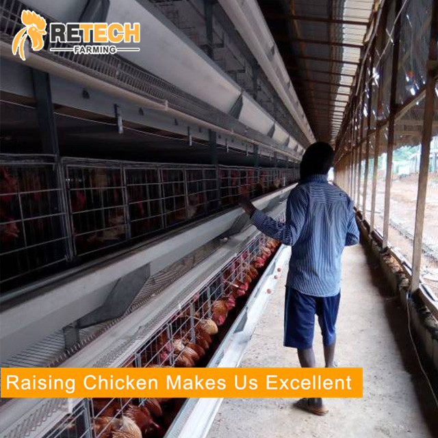 High quality light steel structure commercial poultry house farms for 20000 chickens