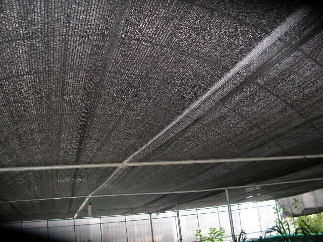 80% Sunshade Net Shade Mesh
