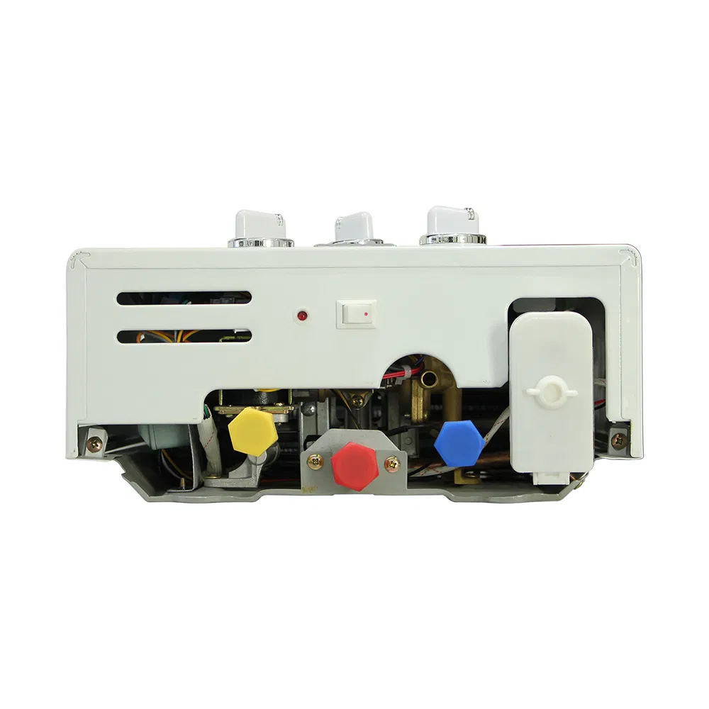 Compact Flue Type Gas Water Heater with Knob Control Features