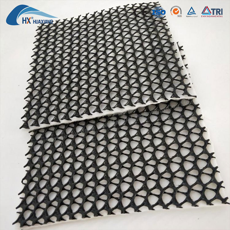 Three-Dimensional Composite Drainage Geonet for Slope Protection Highway Slope Protection