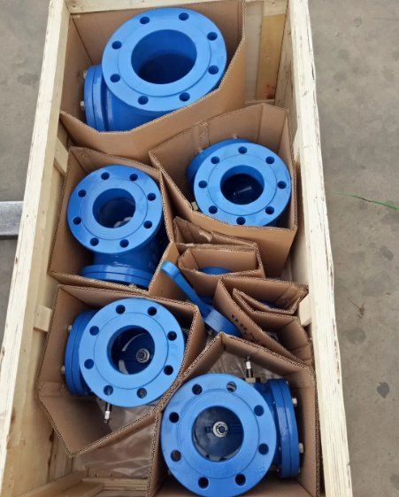Wooden Case Ordinary Temperature Ots China Foot Brake Price Check Valve with Good Service