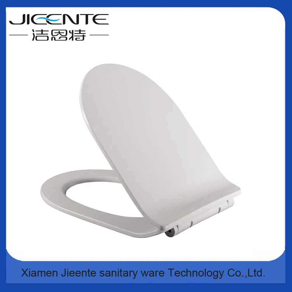 New Fashion Model Toilet Seat
