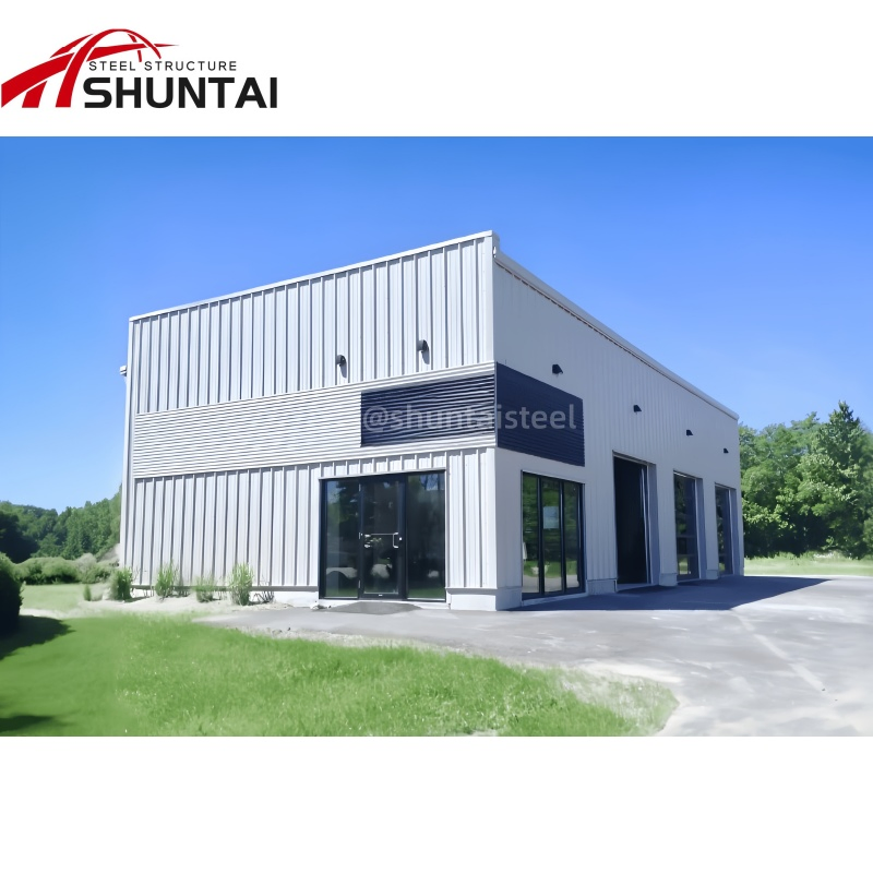 Professional Economical CE Prefabricated/Prefab Galvanized H Beam Design Building Metal Q345/Q235 Large Span Steel-Structure for Factory Warehouse Workshop