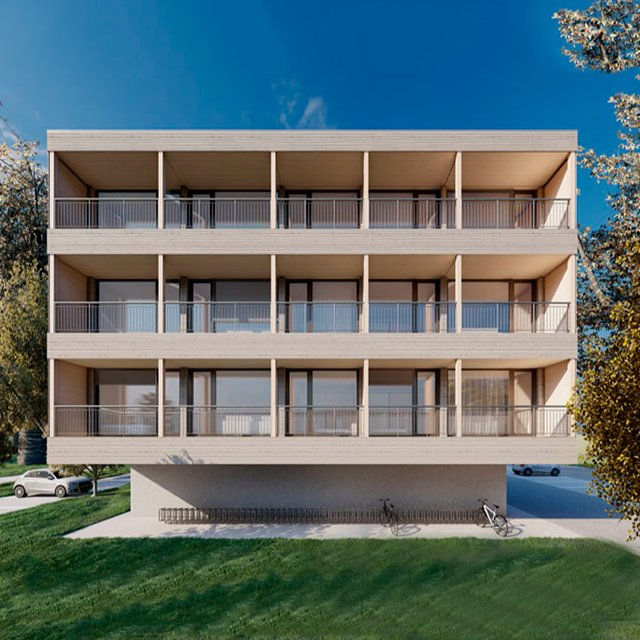 Light Gauge Steel House with AAC Panel