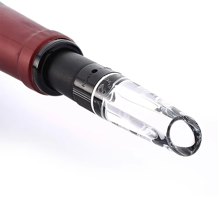 One-Stop Service Small Size Easy-Carrying New Red Wine Dispenser Aerated Wine Bottle Aerator for Bodegas Juan Gil