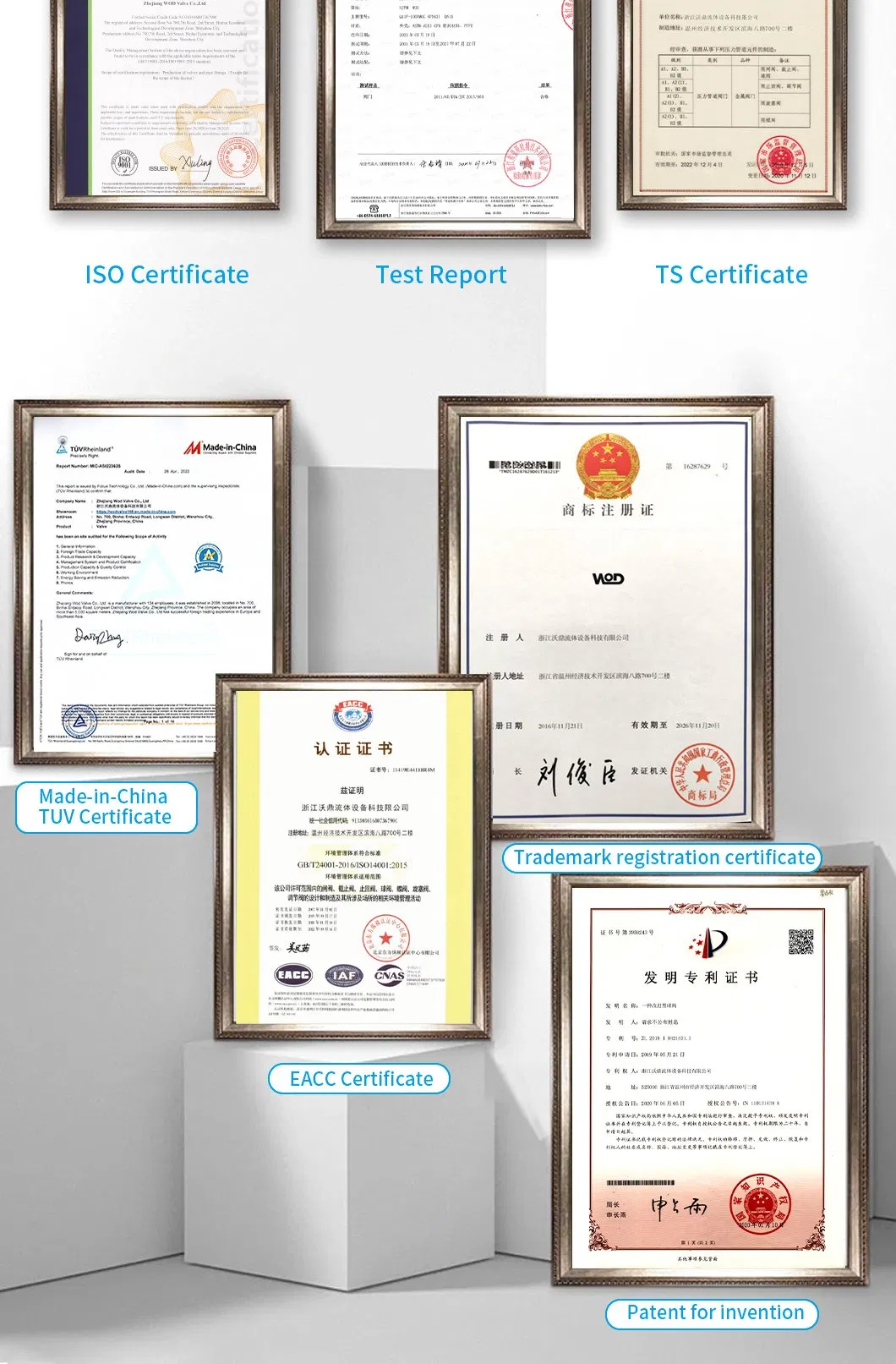 Medical Grade for Water Machine NPT Thread Strainer Y Filter