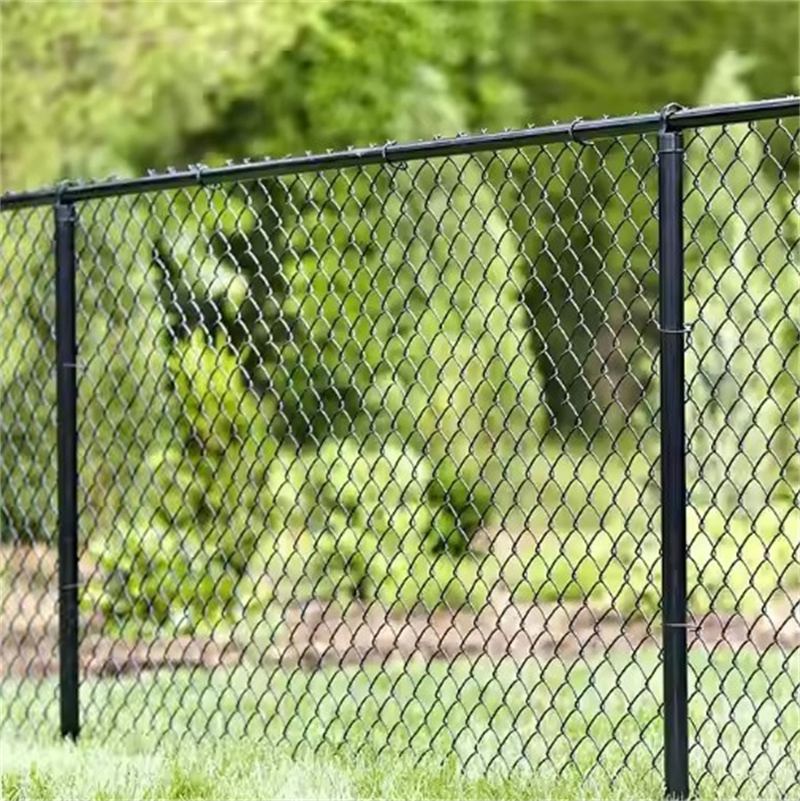 PVC Coated Chain Link Fence Green for Garden Protection