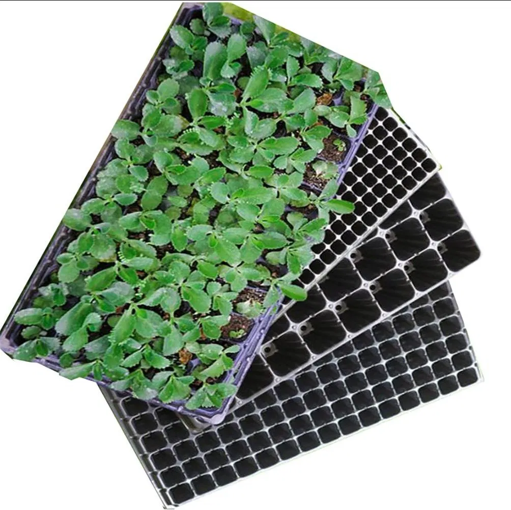 Кассета для рассады 50 ячеек, пластиковая