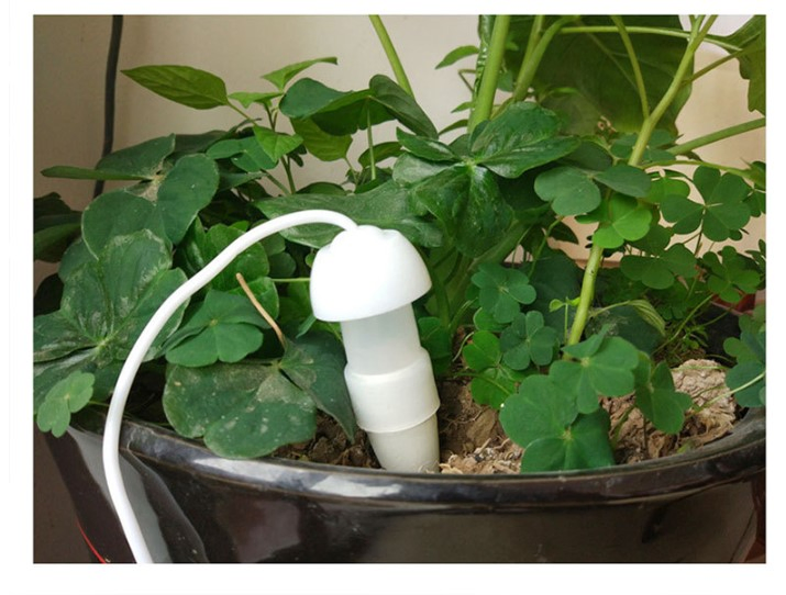 Ceramic Plant Water Garden Dripper