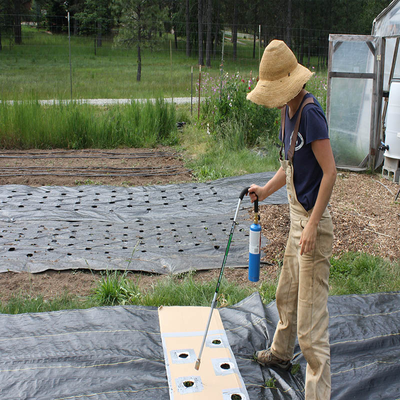 Hot Sale Weed Barrier for Agricultural Planting Landscape Fabric Weed Barrier