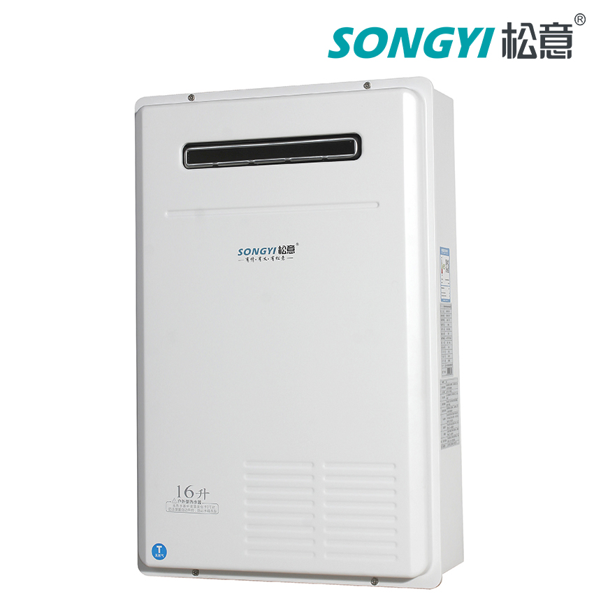 Hot Selling 6L~16L Home Appliance Instant Fuel Type Gas Water Heater Free-Oxygen Copper Heat Exchanger with Custom or Standard
