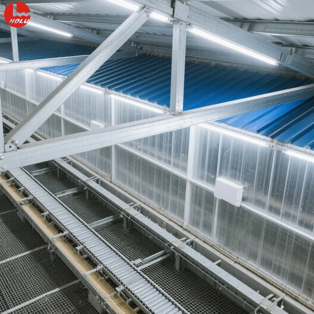 Modular Light Steel Frame Poultry House for Commercial Chicken Farming with Anti-Corrosion Coating