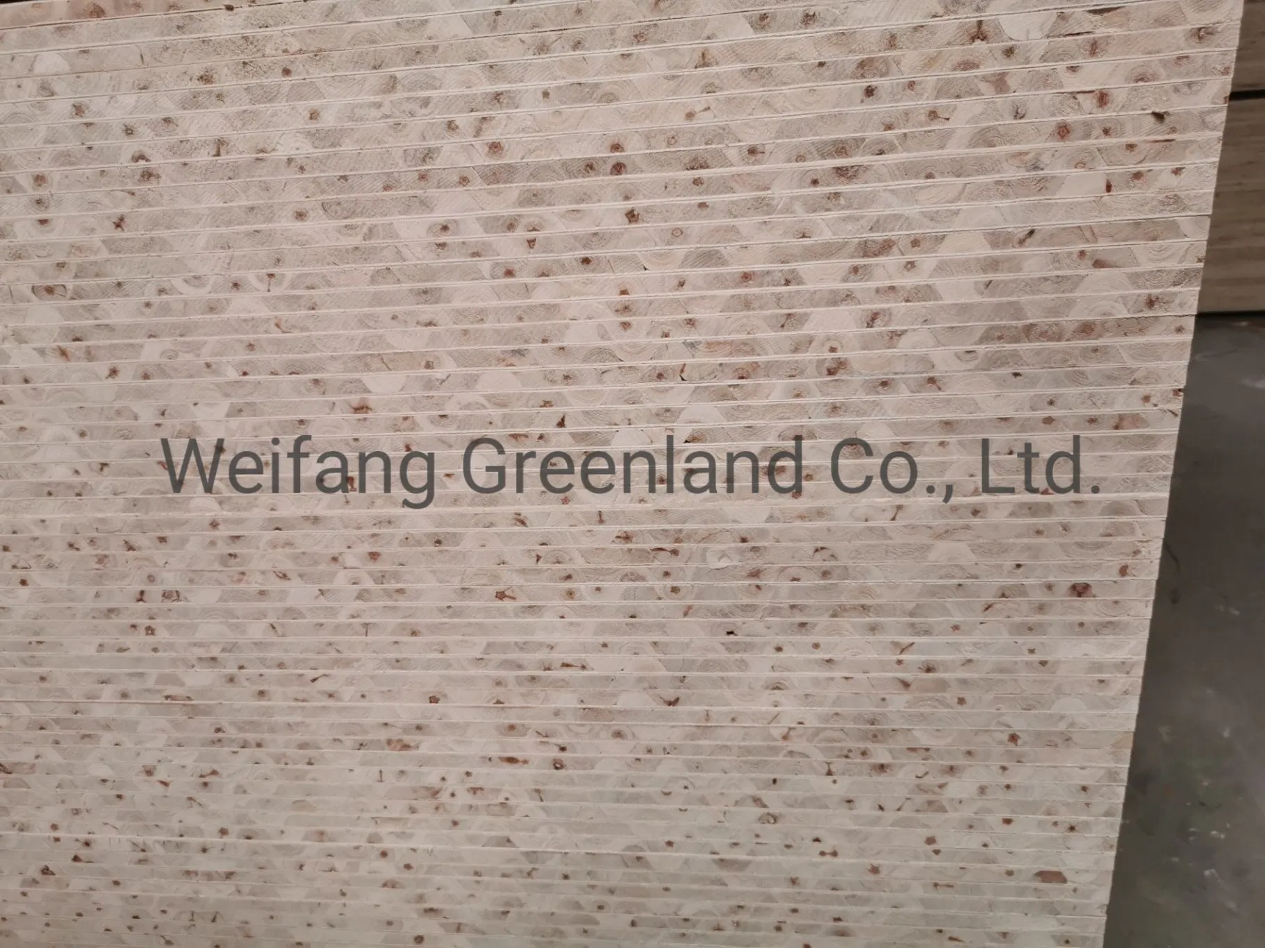 Good Quality Pine Wood Core/Falcate Core/Hardwood Core Block Board with Okume Film