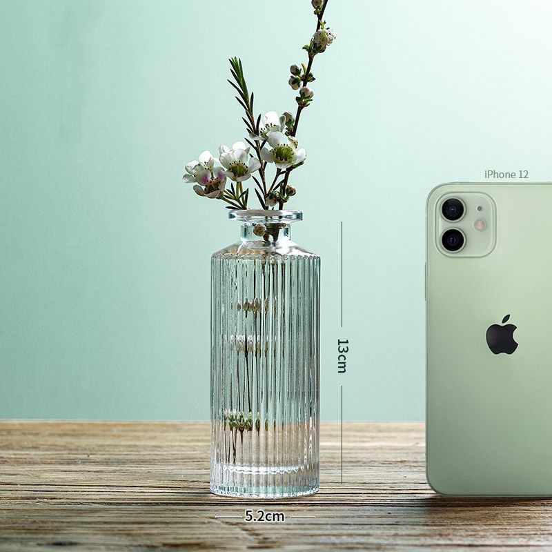 Mini Glass Vase Ins Style French Desktop Flower Arrangement Light Luxury Relief Small Transparent Caliber