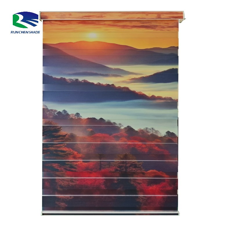 2025 Well Home Center Double Dual Sheer Flower Printed Scenery Smart Zebra Printed Window Blinds