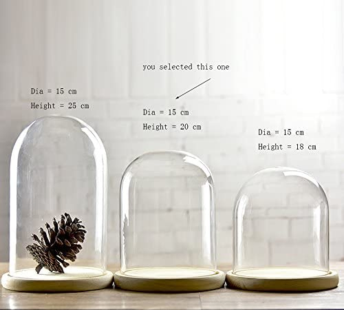 Glass Cloche Bell Jar