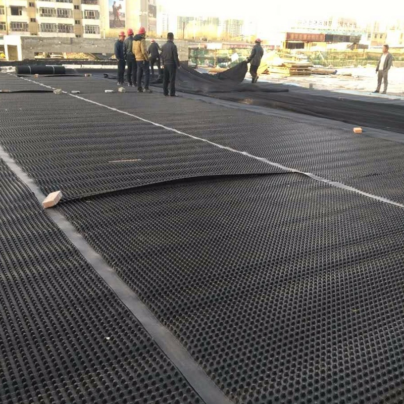 8mm 12mm 20mm Roof Garden Drainage Board