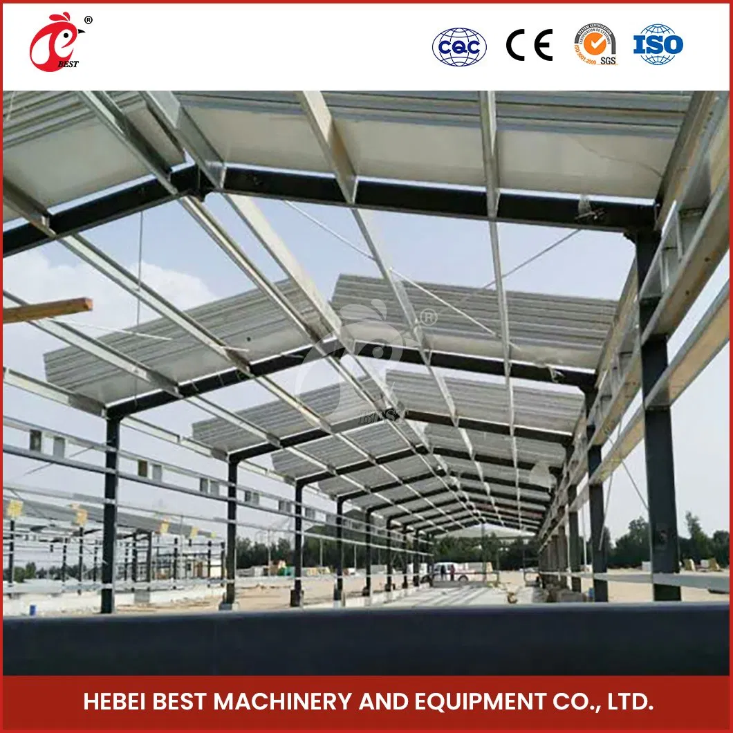 Bestchickencage Steel Poultry House China House Steel Chicken Building Manufacturer Custom Good Looking Steel Structure Chicken House