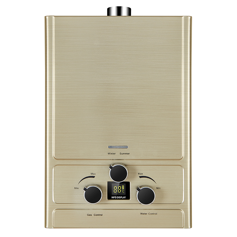 Tankless Gas Water Heater 220V Stable Calentador De Agua for Instant Hot Water