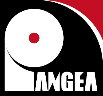 High Efficiency Red Flap Disc for Automotive