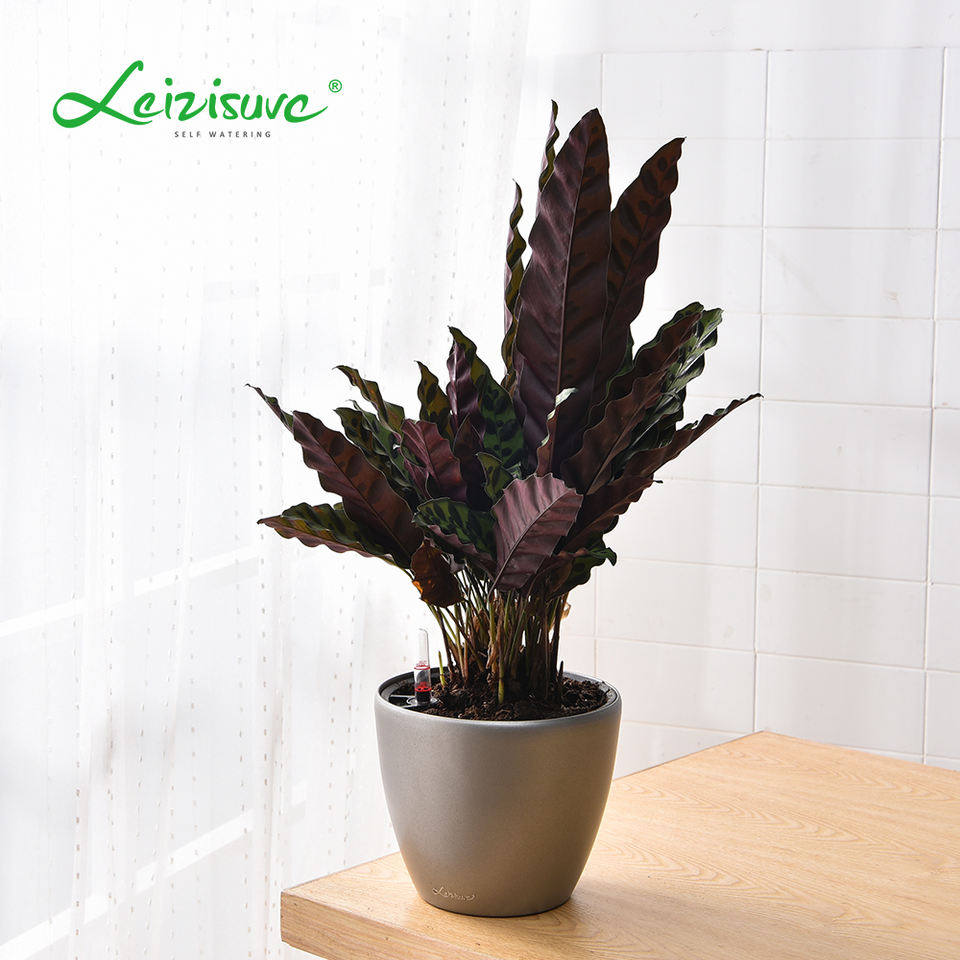 Round Baking Finish Flower Pot & Garden Pot