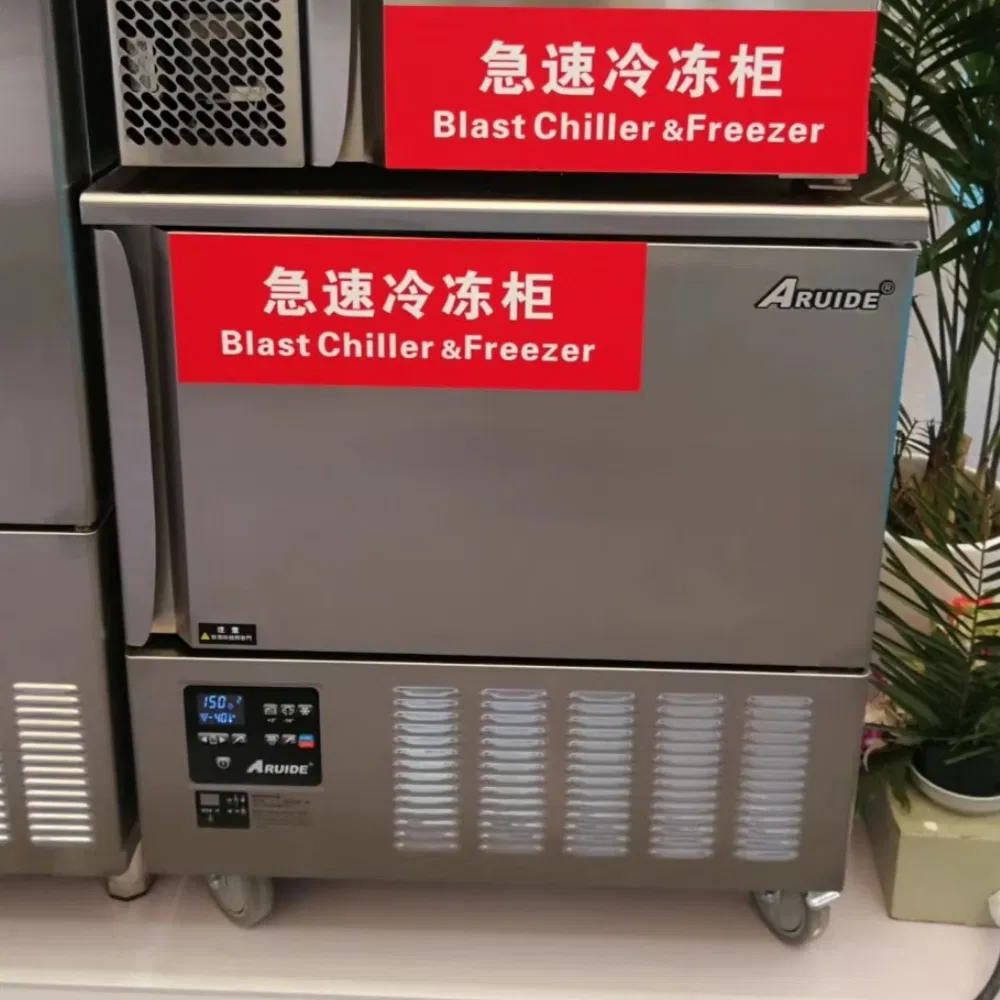 Professional Customizable Fast Chilling 304 Stainless Steel Upright Refrigerator Blast Freezer