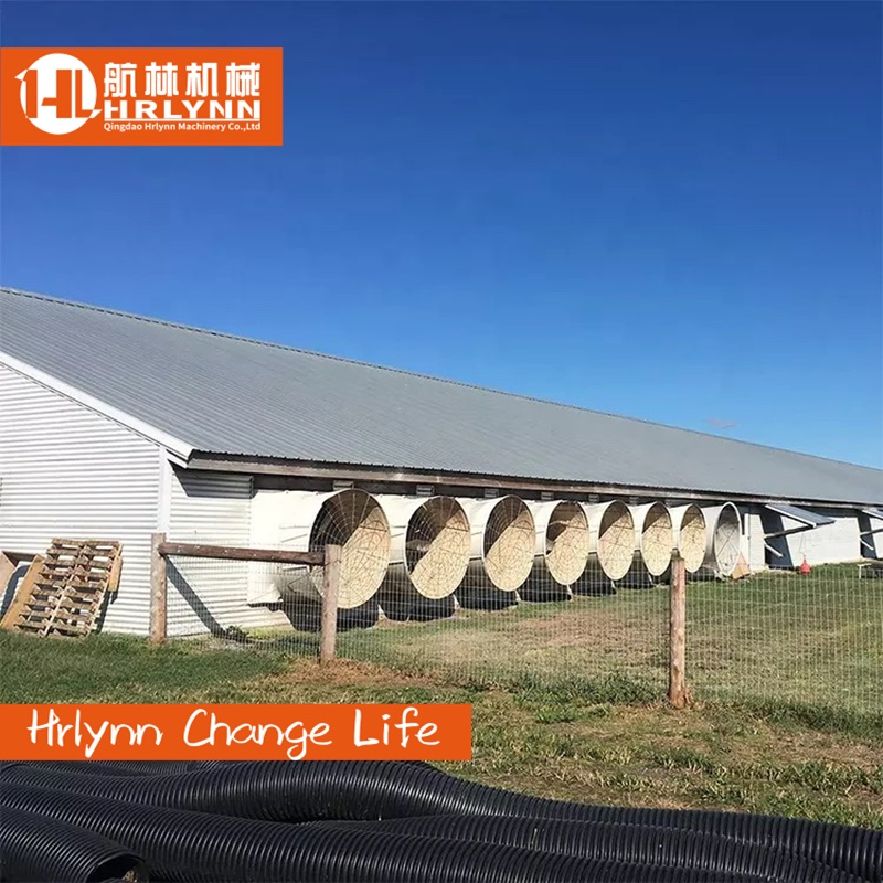 Steel Structure Broiler Chicken Coop House Poultry House