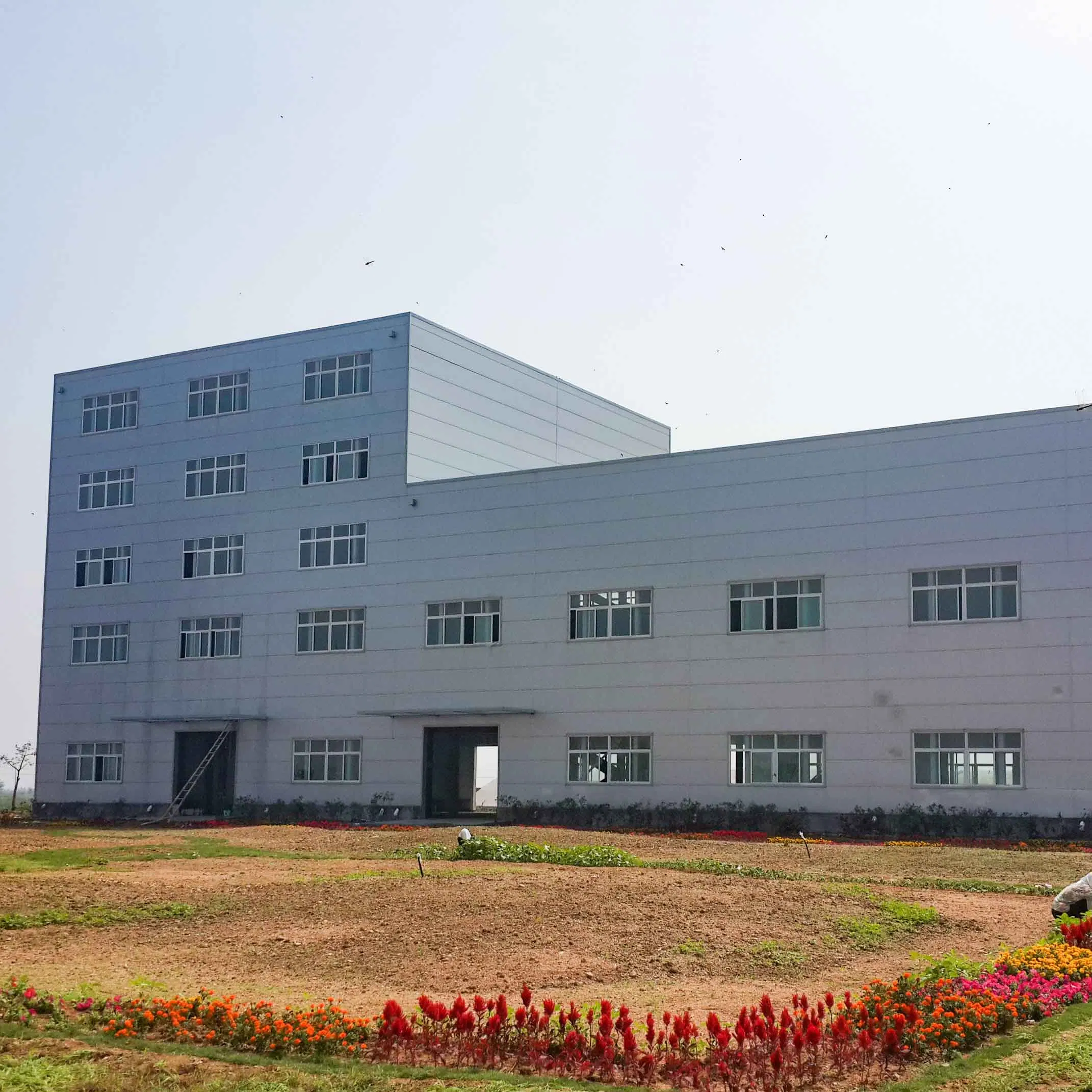 Prefabricated Steel Structure Workshop and Warehouse Building