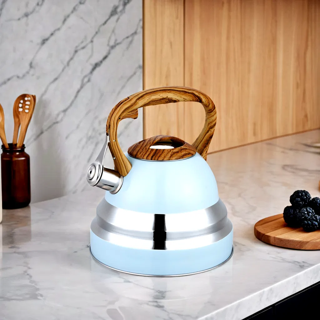 Color Painting Large Capacity 2.5L Whistling Pot Stainless Steel Teapot Water Kettle