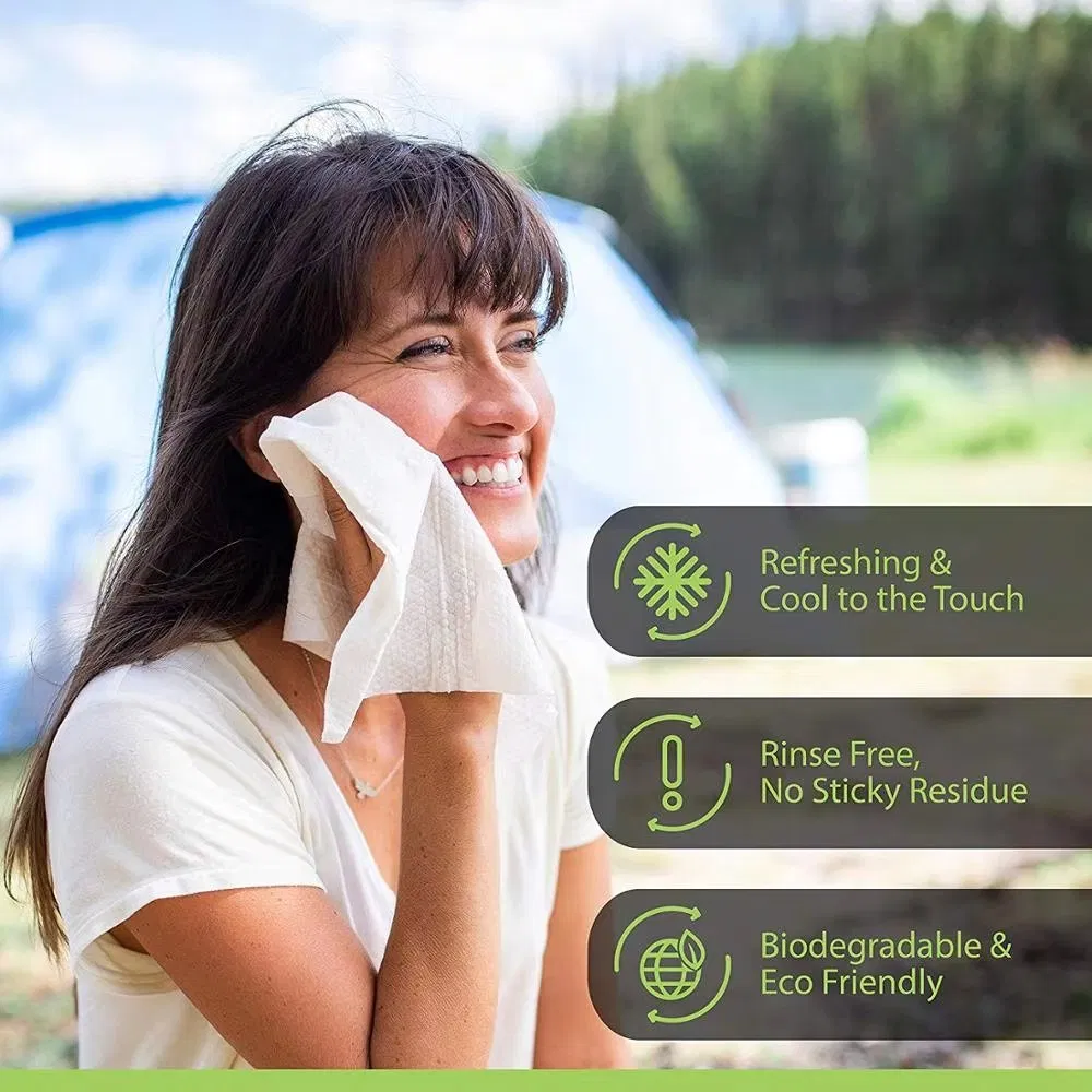 OEM Private Label Biodegradable Individual Packing Cleaning Wet Wipes Scented Deodorant Wipes Flushable Full Body Wipes for Adults