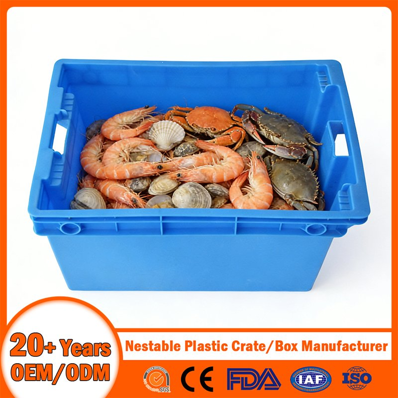 China Plastic Crate Manufacturer Stackable Tote Folding Nestable Storage Mesh Crate for Logistic/Moving/Turnover/Agriculture/Seafood/Vegetable/Fruit/Bread/Lobst