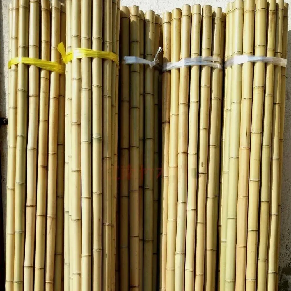 Wholesale Natural The Tree Sticks Bulk Large Bamboo Stake Bamboo Poles