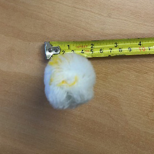 Набор малярных валиков 100 мм, 10 шт, прозрачная упаковка