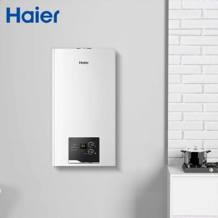 New Style Intelligent Control Heat Water Quickly Custom Competitive Price Thermostat Gas Boiler Water Heater