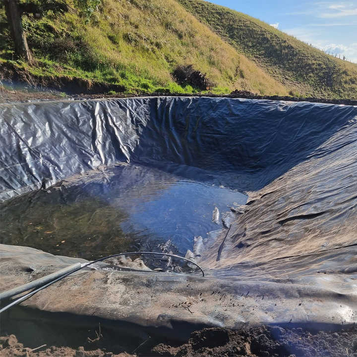 0.5mm/1mm/1.5mm/2mm Durable Unfading Anti-Aging HDPE Geomembrane Waste Water Treatment Garbage Covered Field