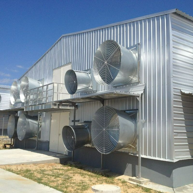 Quick Assemble Prefab Poultry Farm Chicken House