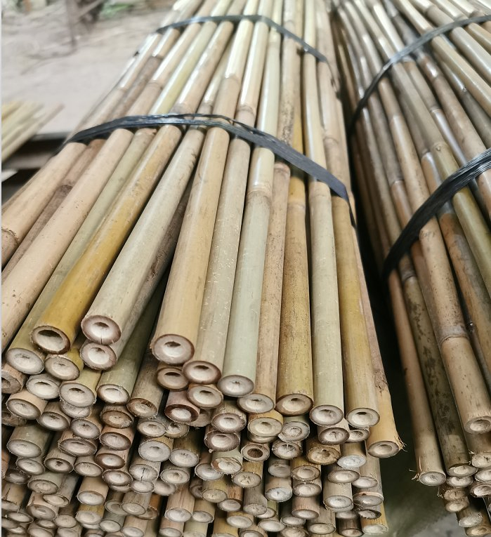 Tonkin Bamboo Poles Used for Building Garden or Farms/Bamboo Cane
