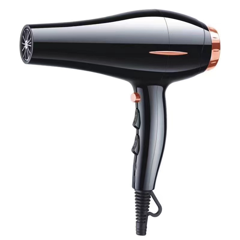 Professional Powerful Professional Hair Dryer Salon Equipment Home Hotel Hair Care