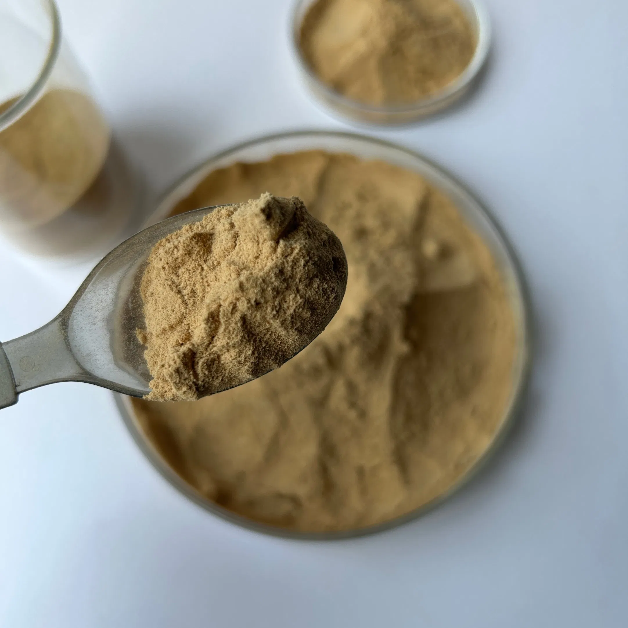 Dry-Mixed Mortar Air-Entraining Agent Is Suitable for Self-Leveling Grouting Material Repair Mortar Grouting Agent