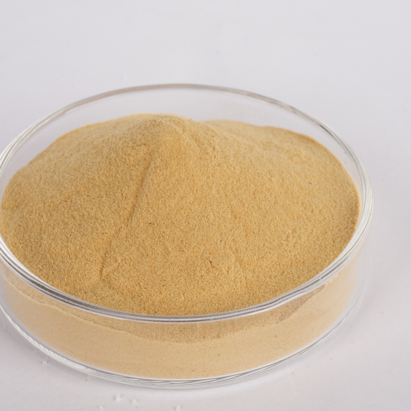 Gr-95 Light Yellow Powder: Excellent Fluidity Amino Acid Gypsum Retarder