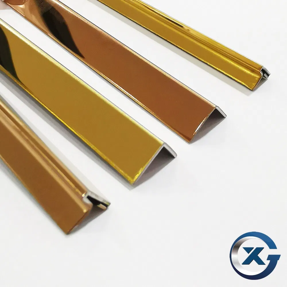 Stainless Steel Floor Trim Tile Assessories